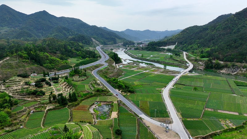 浙農(nóng)浙貝母、杭白菊基地通過中藥材GAP延伸檢查